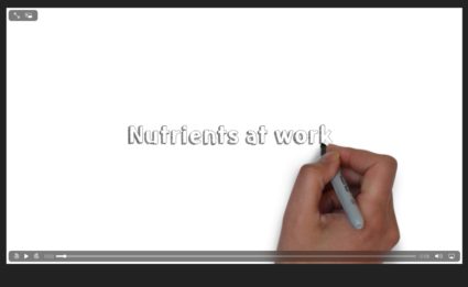 Nutrients At Work Animation