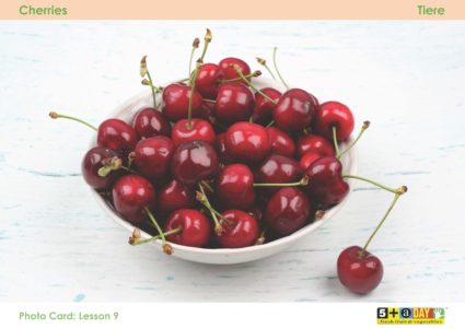 Lesson 9 Photo Card Cherries Hr
